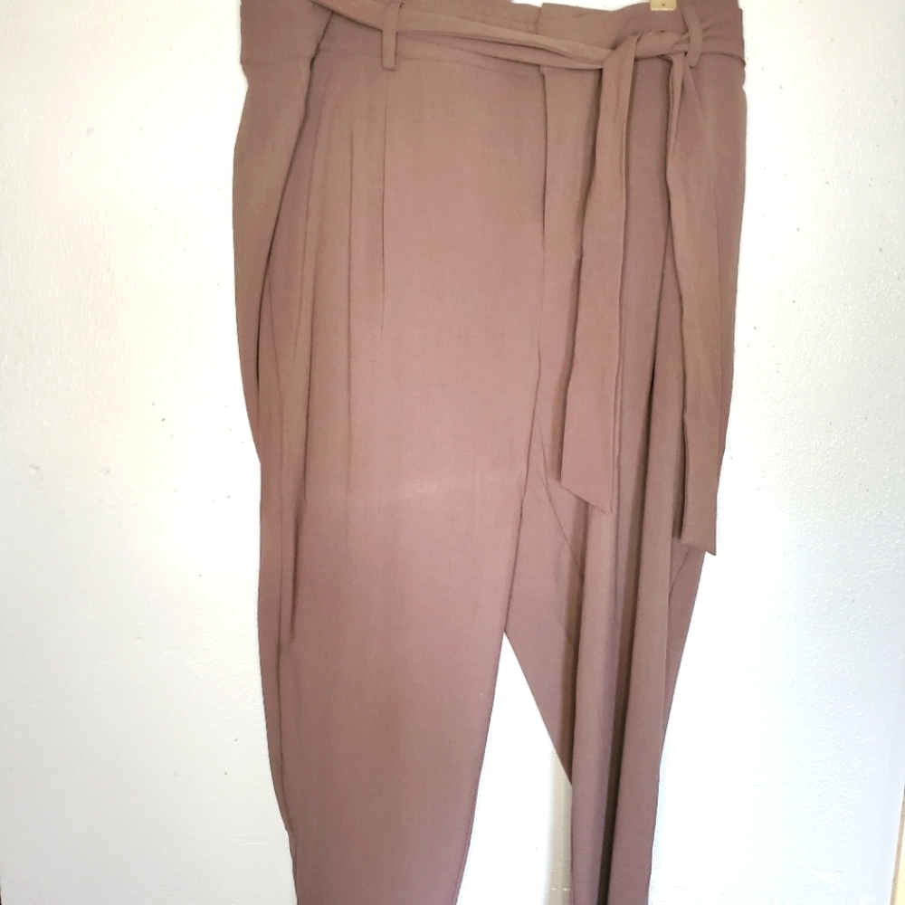 Torrid pants